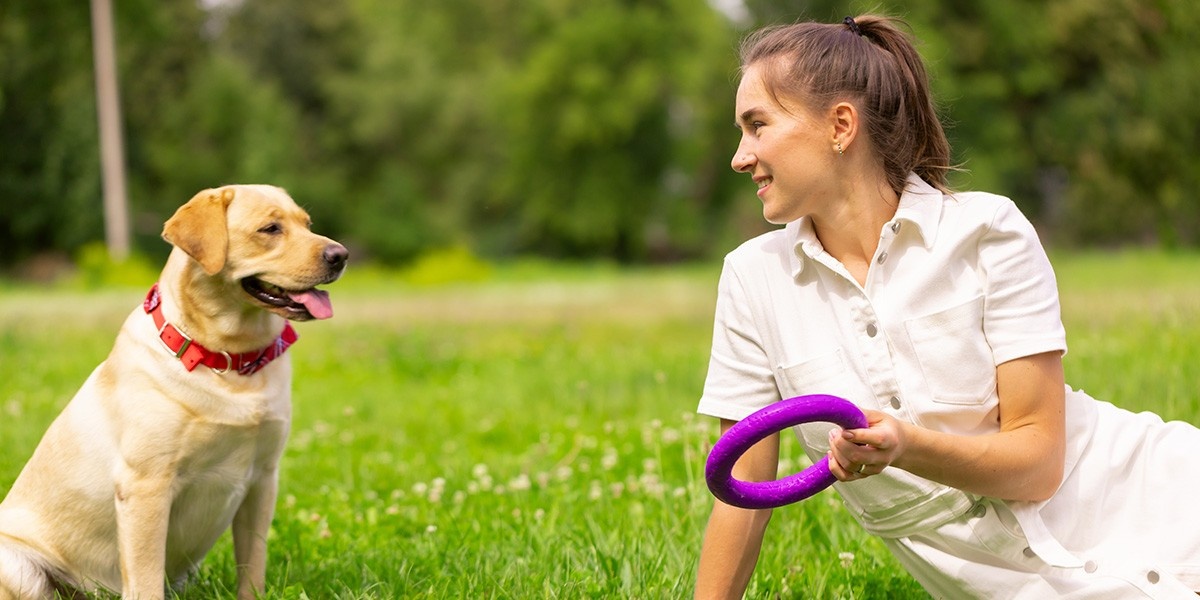 A woman sitting in the park holds a toy to play with her dog.